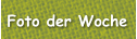 Foto der Woche