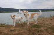 KW36 Deeke und Abby-Lee am Eschweger See