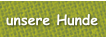 unsere Hunde