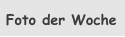 Foto der Woche
