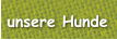 unsere Hunde