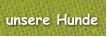 unsere Hunde